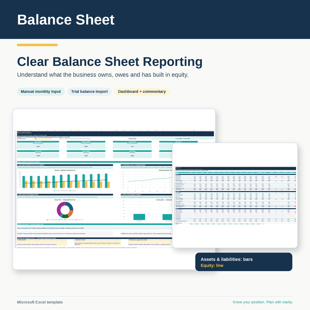 Balance Sheet with Trial Balance Import and Business Dashboard