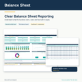 Balance Sheet with Trial Balance Import and Business Dashboard